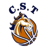 CS特莱姆森 logo