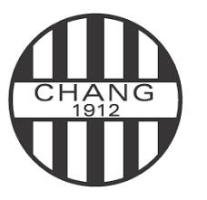 CH阿尔堡 logo